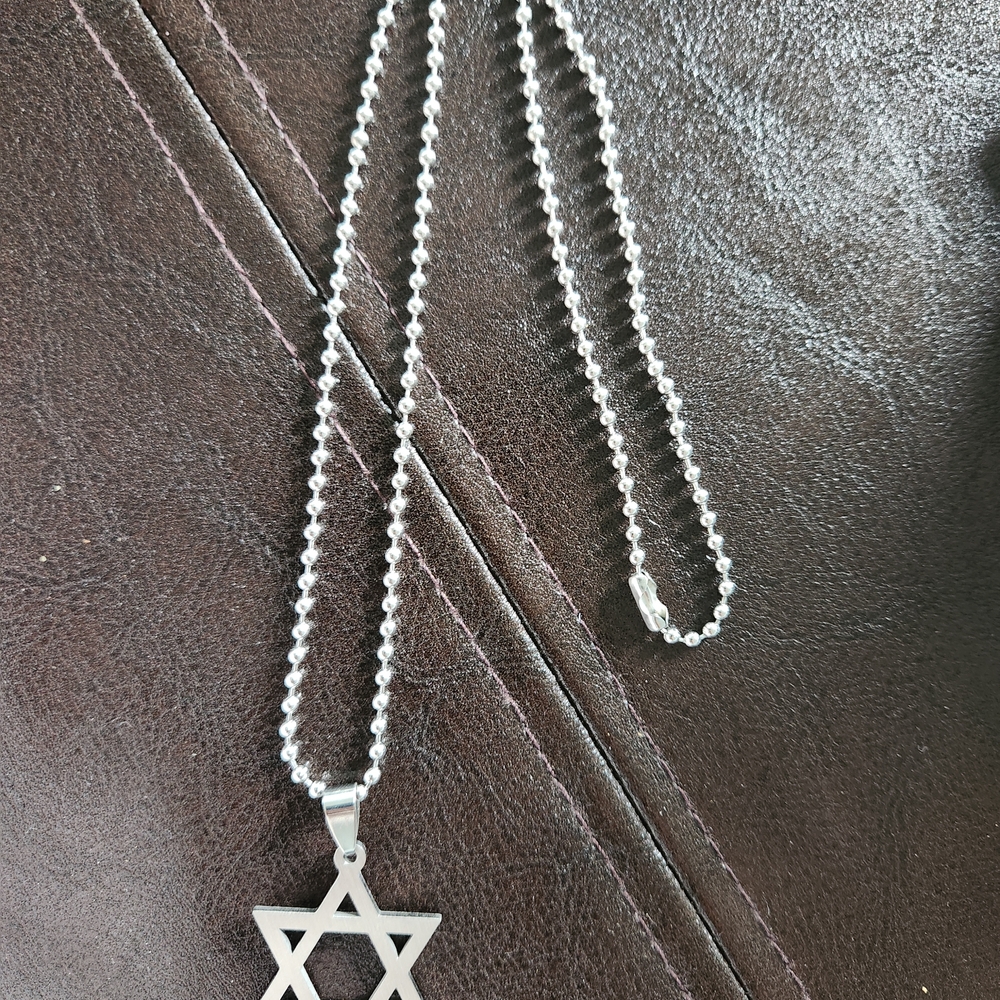 Stainless Steel Star of David Necklace